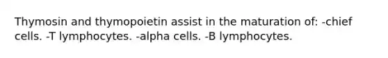 Thymosin and thymopoietin assist in the maturation of: -chief cells. -T lymphocytes. -alpha cells. -B lymphocytes.