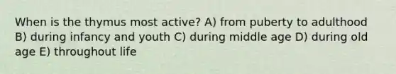 When is the thymus most active? A) from puberty to adulthood B) during infancy and youth C) during middle age D) during old age E) throughout life