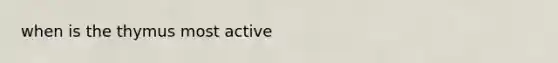 when is the thymus most active