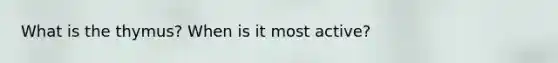 What is the thymus? When is it most active?