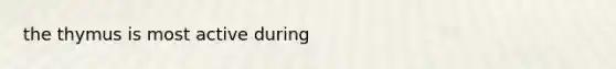 the thymus is most active during