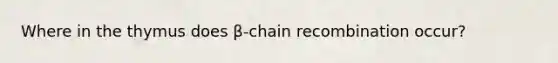 Where in the thymus does β-chain recombination occur?