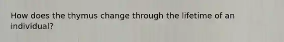 How does the thymus change through the lifetime of an individual?