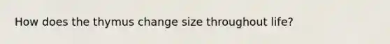 How does the thymus change size throughout life?