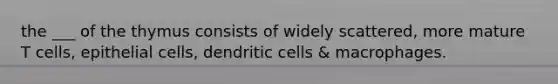 the ___ of the thymus consists of widely scattered, more mature T cells, epithelial cells, dendritic cells & macrophages.