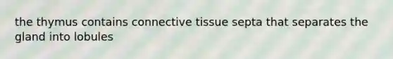 the thymus contains connective tissue septa that separates the gland into lobules