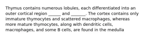 Thymus contains numerous lobules, each differentiated into an outer cortical region ______ and _______. The cortex contains only immature thymocytes and scattered macrophages, whereas more mature thymocytes, along with dendritic cells, macrophages, and some B cells, are found in the medulla