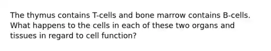 The thymus contains T-cells and bone marrow contains B-cells. What happens to the cells in each of these two organs and tissues in regard to cell function?