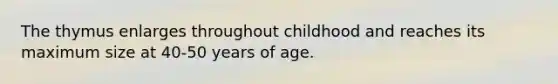 The thymus enlarges throughout childhood and reaches its maximum size at 40-50 years of age.