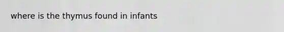 where is the thymus found in infants