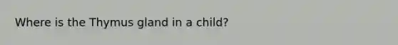 Where is the Thymus gland in a child?