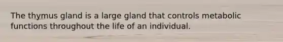 The thymus gland is a large gland that controls metabolic functions throughout the life of an individual.
