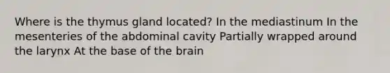 Where is the thymus gland located? In the mediastinum In the mesenteries of the abdominal cavity Partially wrapped around the larynx At the base of the brain