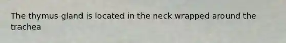 The thymus gland is located in the neck wrapped around the trachea