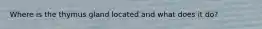 Where is the thymus gland located and what does it do?