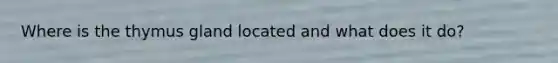 Where is the thymus gland located and what does it do?