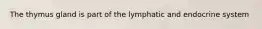 The thymus gland is part of the lymphatic and endocrine system