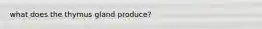 what does the thymus gland produce?