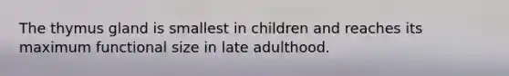 The thymus gland is smallest in children and reaches its maximum functional size in late adulthood.
