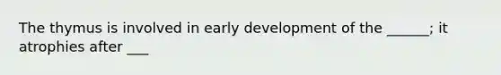 The thymus is involved in early development of the ______; it atrophies after ___