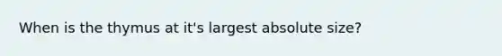 When is the thymus at it's largest absolute size?