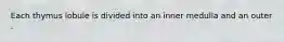 Each thymus lobule is divided into an inner medulla and an outer .