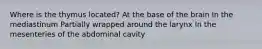 Where is the thymus located? At the base of the brain In the mediastinum Partially wrapped around the larynx In the mesenteries of the abdominal cavity
