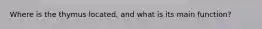 Where is the thymus located, and what is its main function?
