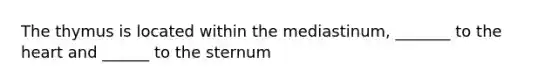 The thymus is located within the mediastinum, _______ to the heart and ______ to the sternum