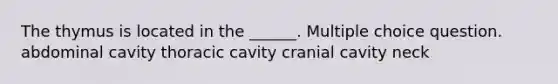 The thymus is located in the ______. Multiple choice question. abdominal cavity thoracic cavity cranial cavity neck