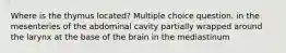 Where is the thymus located? Multiple choice question. in the mesenteries of the abdominal cavity partially wrapped around the larynx at the base of the brain in the mediastinum