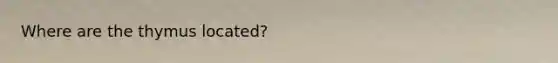 Where are the thymus located?
