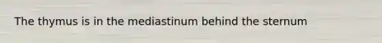 The thymus is in the mediastinum behind the sternum