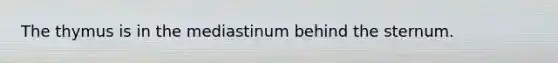 The thymus is in the mediastinum behind the sternum.