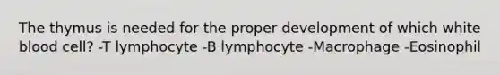 The thymus is needed for the proper development of which white blood cell? -T lymphocyte -B lymphocyte -Macrophage -Eosinophil