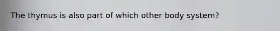 The thymus is also part of which other body system?