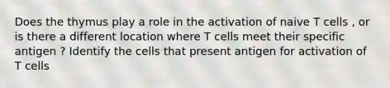 Does the thymus play a role in the activation of naive T cells , or is there a different location where T cells meet their specific antigen ? Identify the cells that present antigen for activation of T cells