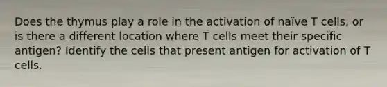 Does the thymus play a role in the activation of naïve T cells, or is there a different location where T cells meet their specific antigen? Identify the cells that present antigen for activation of T cells.