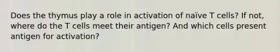 Does the thymus play a role in activation of naïve T cells? If not, where do the T cells meet their antigen? And which cells present antigen for activation?