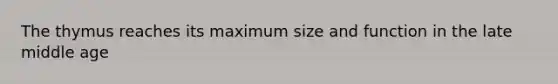 The thymus reaches its maximum size and function in the late middle age