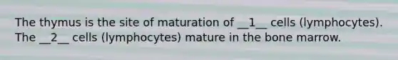 The thymus is the site of maturation of __1__ cells (lymphocytes). The __2__ cells (lymphocytes) mature in the bone marrow.