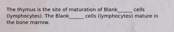 The thymus is the site of maturation of Blank______ cells (lymphocytes). The Blank______ cells (lymphocytes) mature in the bone marrow.