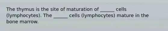 The thymus is the site of maturation of ______ cells (lymphocytes). The ______ cells (lymphocytes) mature in the bone marrow.