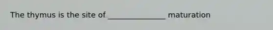 The thymus is the site of _______________ maturation