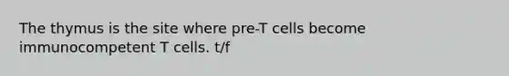 The thymus is the site where pre-T cells become immunocompetent T cells. t/f