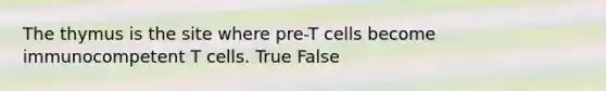 The thymus is the site where pre-T cells become immunocompetent T cells. True False