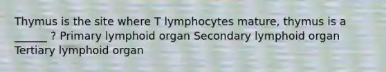 Thymus is the site where T lymphocytes mature, thymus is a ______ ? Primary lymphoid organ Secondary lymphoid organ Tertiary lymphoid organ