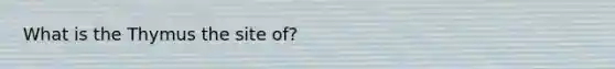 What is the Thymus the site of?