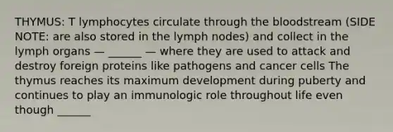 THYMUS: T lymphocytes circulate through the bloodstream (SIDE NOTE: are also stored in the lymph nodes) and collect in the lymph organs — ______ — where they are used to attack and destroy foreign proteins like pathogens and cancer cells The thymus reaches its maximum development during puberty and continues to play an immunologic role throughout life even though ______