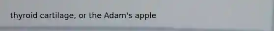 thyroid cartilage, or the Adam's apple